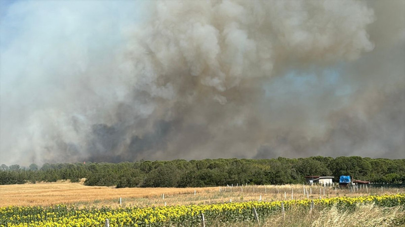 İstanbul'da orman yangını çıktı! Alevler yükseliyor - Resim: 4