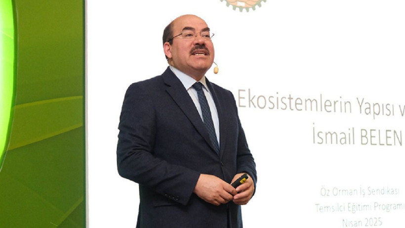 Türkiye'nin orman varlığı yarım asırda 3,2 milyon hektar büyüdü - Resim: 2