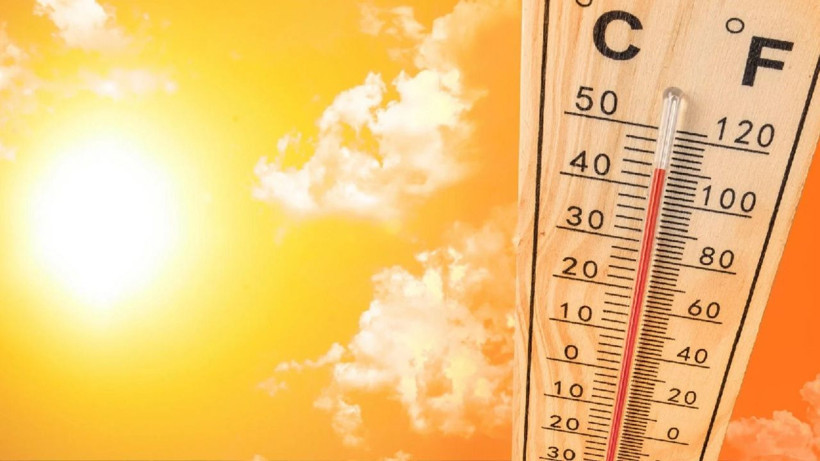 İklim değişikliği korkutuyor! Avrupa'da son sıcak hava dalgası can kaybını 3 kat artırdı... - Resim: 2