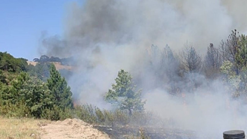 Meteoroloji duyurdu aşırı sıcaklar geri geldi 14 Temmuz haftası hava kavuracak - Resim: 1
