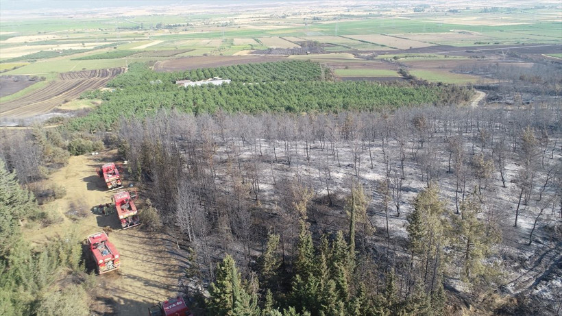 Henüz nedeni belirlenemedi ama... Ortaya çıkan görüntüler yürekleri yaktı... - Resim: 1