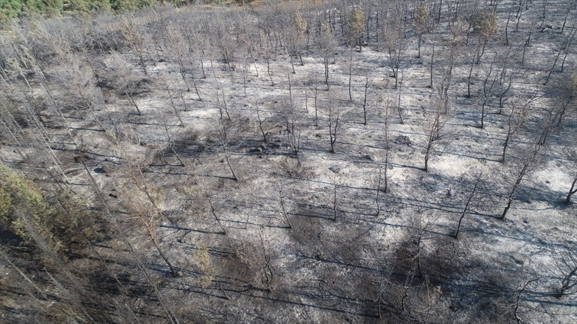 Henüz nedeni belirlenemedi ama... Ortaya çıkan görüntüler yürekleri yaktı... - Resim: 2