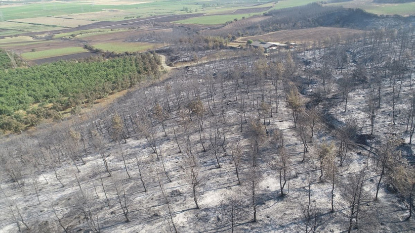 Henüz nedeni belirlenemedi ama... Ortaya çıkan görüntüler yürekleri yaktı... - Resim: 3