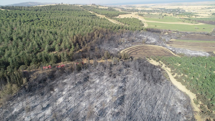 Henüz nedeni belirlenemedi ama... Ortaya çıkan görüntüler yürekleri yaktı... - Resim: 4