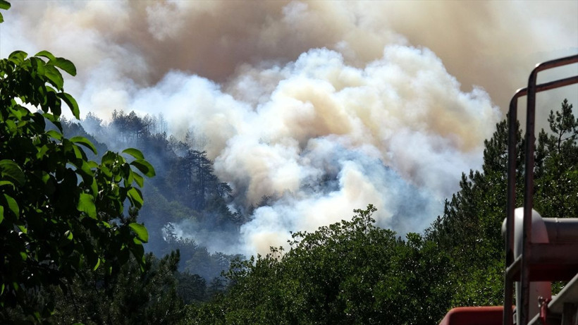 Karabük'teki orman yangınlarına 4. gününde müdahale sürüyor - Resim: 2