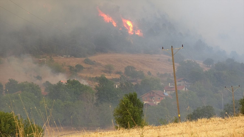 Biri yangın bölgesindeki ekiplere karpuz taşıdı diğeri alevlerin önünde şarkı söyledi - Resim: 1