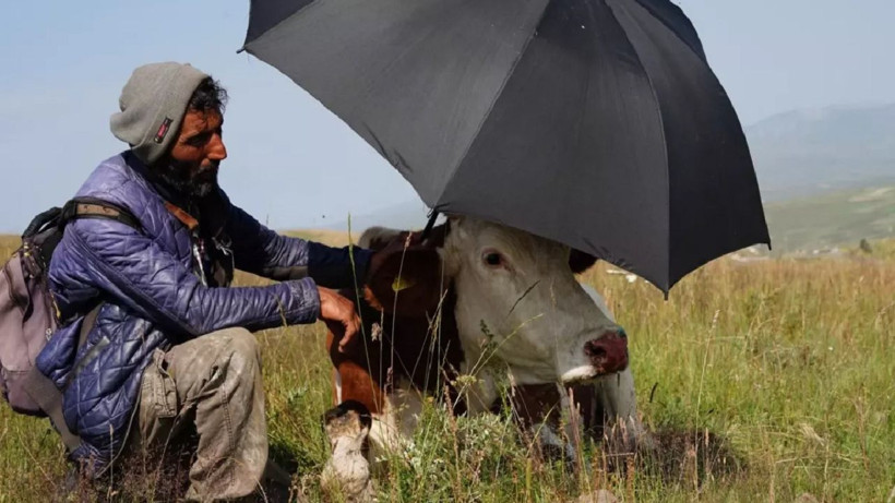 Şap hastalığı nedeniyle hayvan sahipleri çaresiz... - Resim: 4