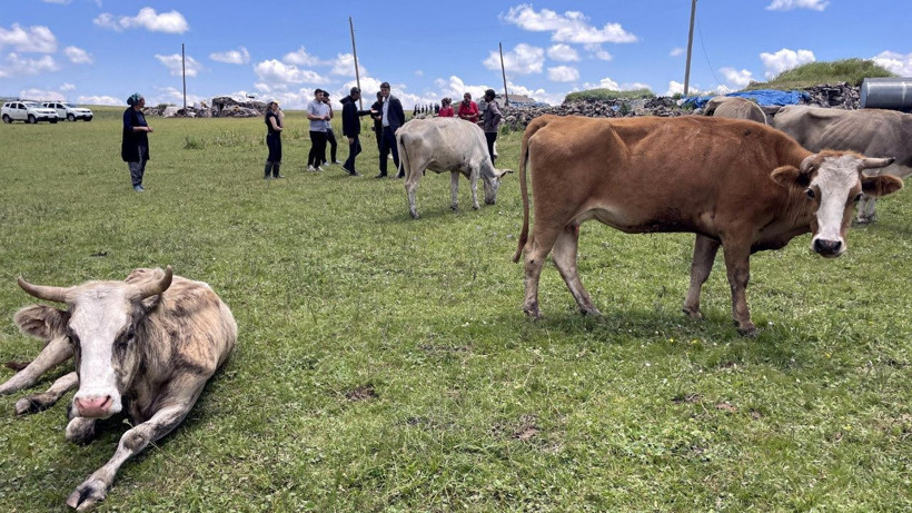 Şap hastalığı nedeniyle hayvan sahipleri çaresiz... - Resim: 1