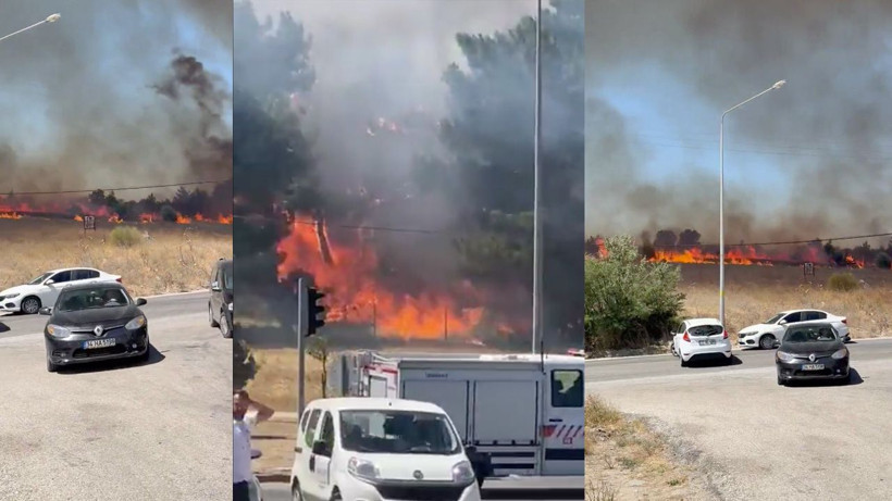 Çanakkale orman yangını çok kötü! Bir site yanıyor üniversite boşaltıldı boğaz kapatıldı - Resim: 4