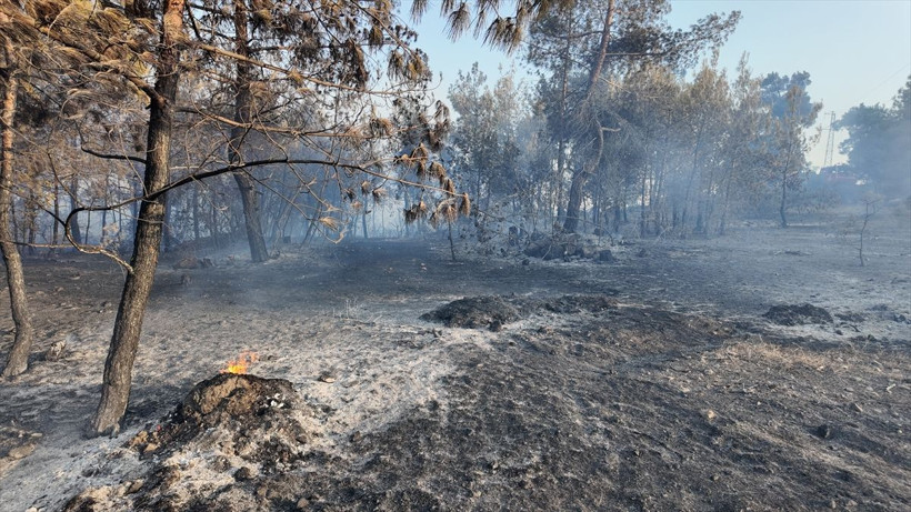 Mersin orman yangını 3. günde! Osmaniye söndü Suriye'de başlayan Hatay'a geçti - Resim: 3