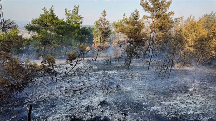 Mersin orman yangını 3. günde! Osmaniye söndü Suriye'de başlayan Hatay'a geçti - Resim: 4