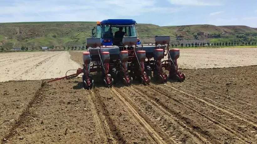 Nesillerce gelir sağlayacak! Bir kez ekince 100 yıla kadar meyve veriyor... - Resim: 2