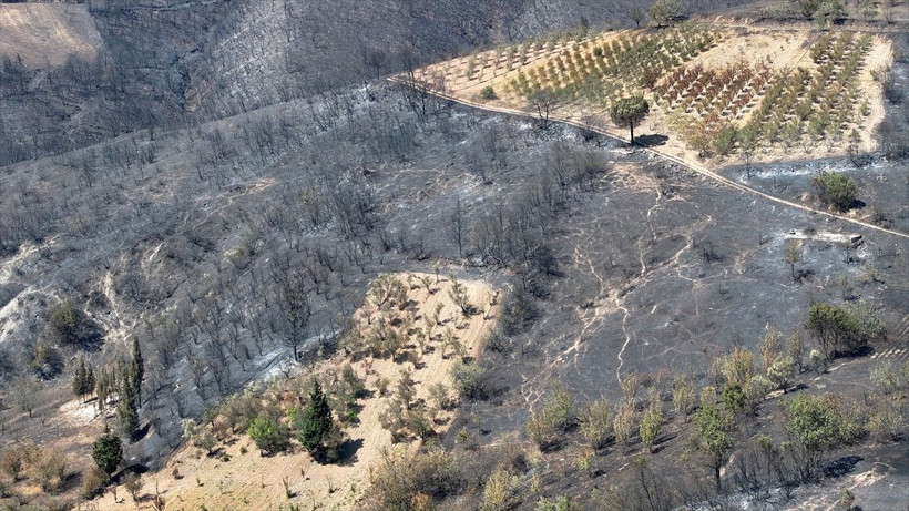 Kocaeli'de ormanlar küle döndü! Ortaya çıkan görüntüler yangının boyutunu ortaya çıkardı - Resim: 3