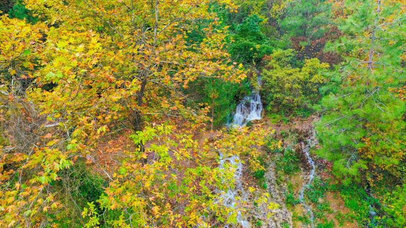 Sındırgı depremi sonrası mucize oldu! Meğer 20 yıl önce... - Resim: 4