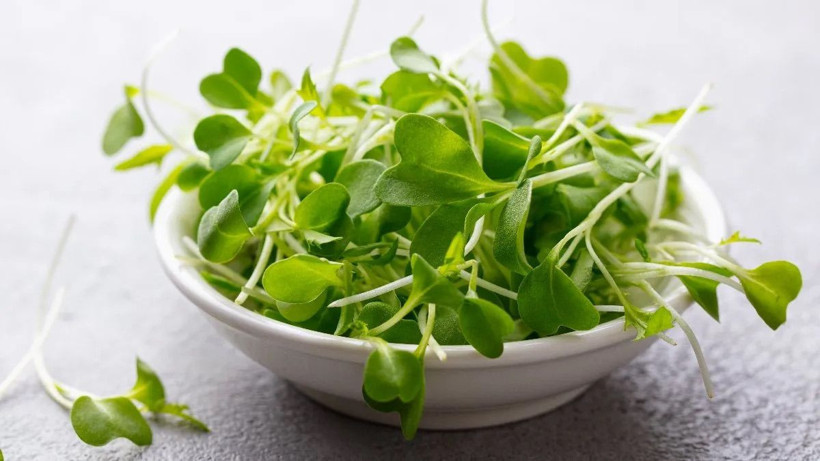 Ne ıspanak ne lahana! En faydalı yeşillik belli oldu - Resim: 1