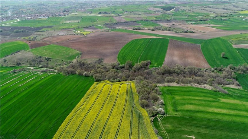 Bu illerden arsa alanlar yaşadı enflasyonu ikiye katladı! 3 büyükşehir şaşırttı - Resim: 3