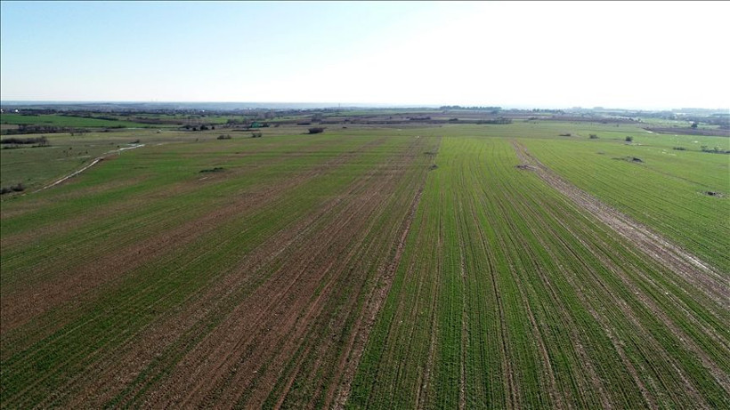 Bu illerden arsa alanlar yaşadı enflasyonu ikiye katladı! 3 büyükşehir şaşırttı - Resim: 4