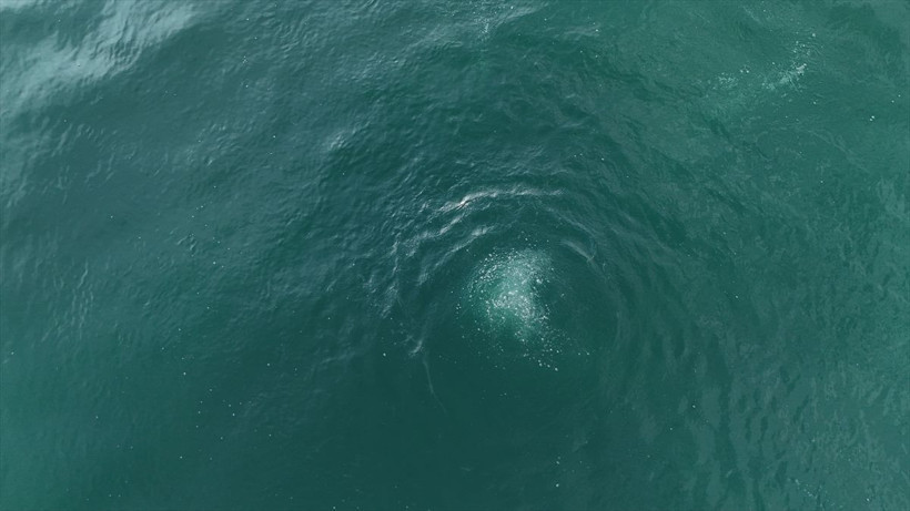 Sapanca Gölü'nde neler oluyor? Fokur fokur kaynıyor depremin habercisi mi? - Resim: 3