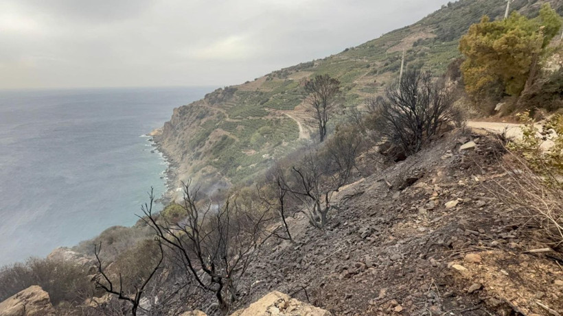 Antalya'da yangın! Muz bahçesinde çıkan yangın söndürüldü - Resim: 1