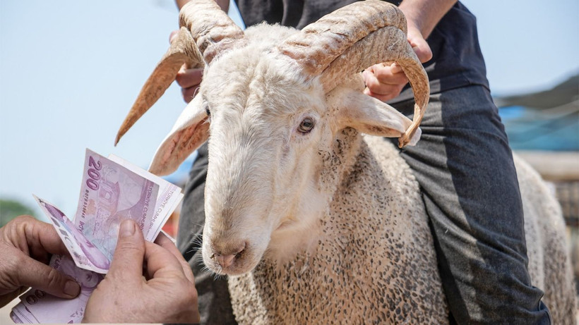 Bayram ikramiyesi alacaklar dikkat! Herkese aynı para yatmayacak, SGK uzmanı Özgür Erdursun açıkladı - Resim: 4