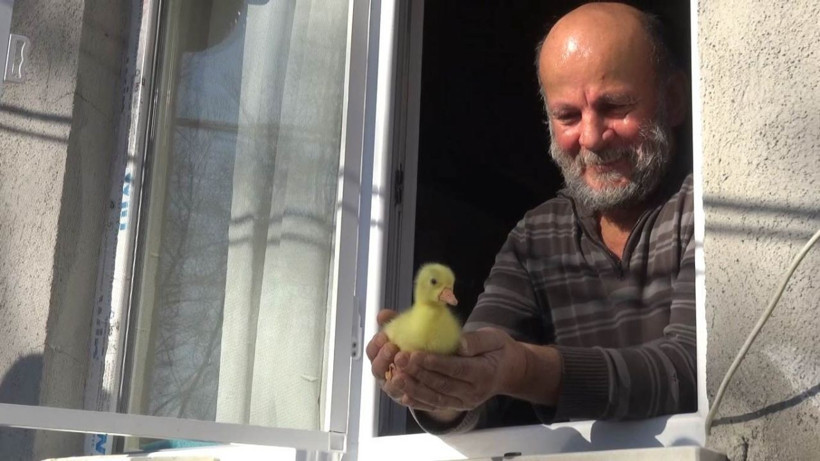 Zonguldak'ı bırakıp Bartın'da bu işi yapmaya başladılar! Koronadan bile haberleri yok - Resim: 7