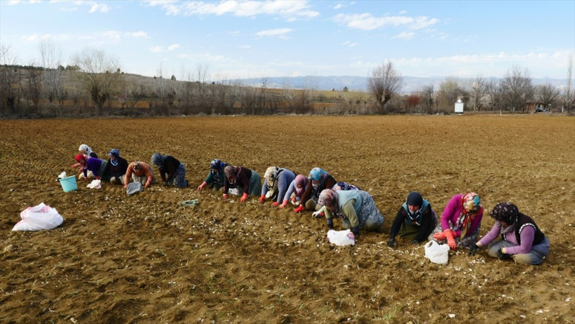 Kastamonu'da kadınlar sıraya girip tek tek... - Resim: 2