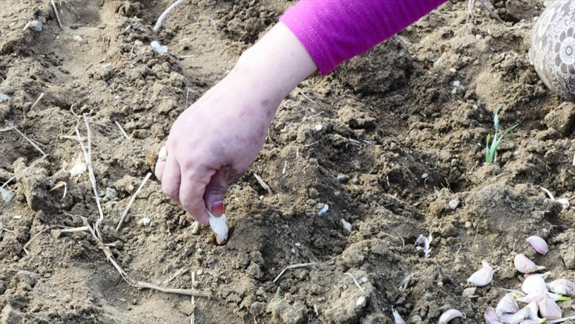 Kastamonu'da kadınlar sıraya girip tek tek... - Resim: 3