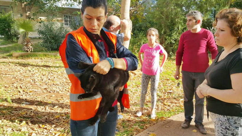 Antalya'da kedileri tavuk eti ile zehirlediler - Resim: 4
