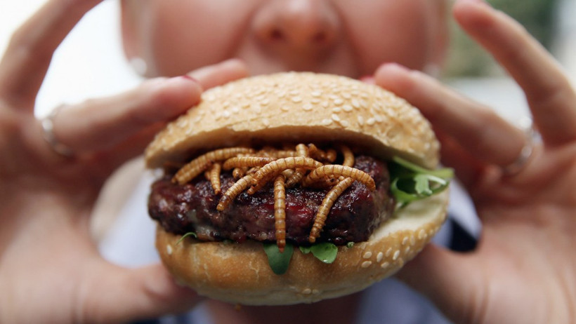 Her türlü böceği çöp şiş yapıp mideye indiriyorlar - Resim: 3