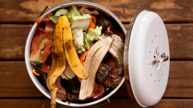 Restoranların gıda atıklarını çöpe atması yasaklandı - Resim: 3