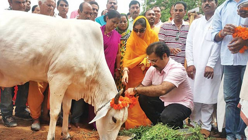 Hindistan'da inek eti protestosunda 2 kişi öldü - Resim: 3