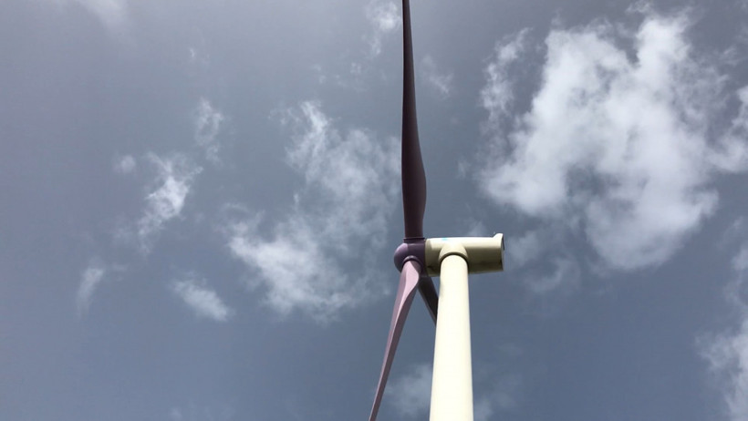 Ölümleri mor renk durdurdu! - Resim: 2