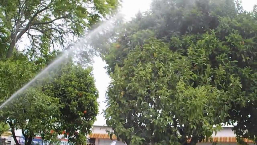 Zehir pompasını ağzıyla açmaya çalışınca... - Resim: 1