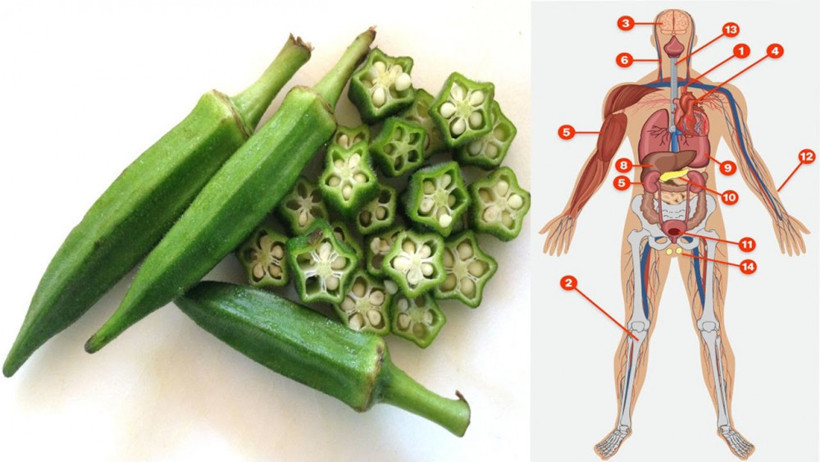 Pek sevilmiyor ama faydaları da saymakla bitmiyor - Resim: 1