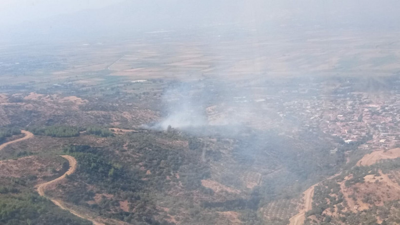 Yenipazar'da 30 dekar zeytinlik alan kül oldu - Resim: 1