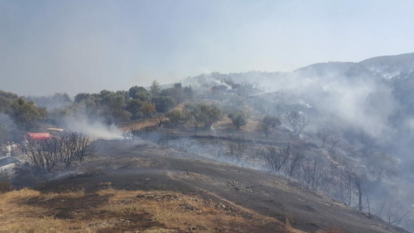 Yenipazar'da 30 dekar zeytinlik alan kül oldu - Resim: 4