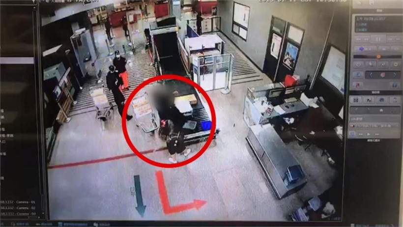 Kadının pantolunundan tam 24 tane fare çıktı böyle şey görülmedi - Resim: 1