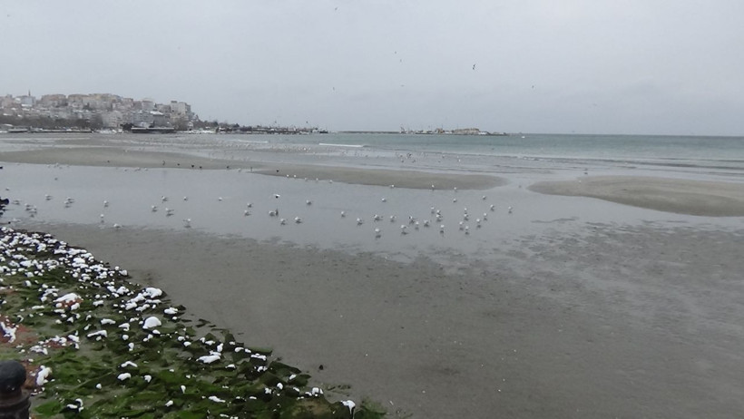 Silivri'de deniz 150 metre çekildi! İstanbul'da ürküten doğa olayı - Resim: 1