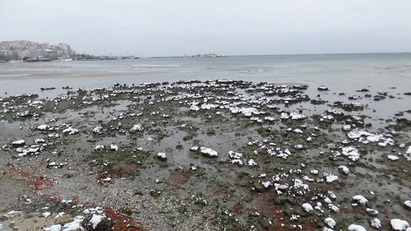 Silivri'de deniz 150 metre çekildi! İstanbul'da ürküten doğa olayı - Resim: 2