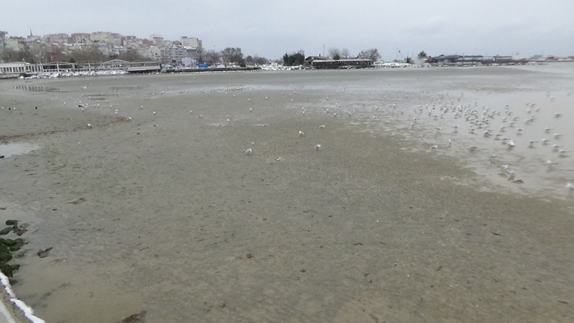 Silivri'de deniz 150 metre çekildi! İstanbul'da ürküten doğa olayı - Resim: 3