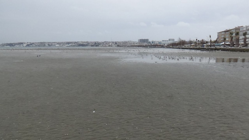 Silivri'de deniz 150 metre çekildi! İstanbul'da ürküten doğa olayı - Resim: 4
