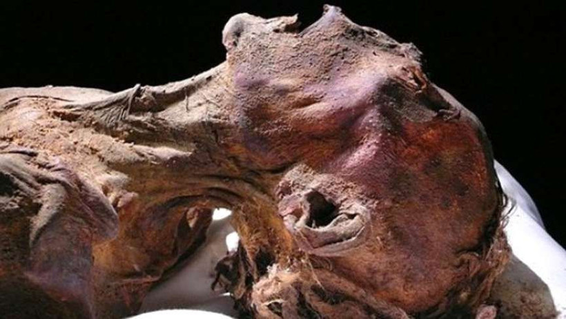 Bilim adamları cevabını buldu! 'Çığlık atan mumya'nın gizemi çözüldü - Resim: 2