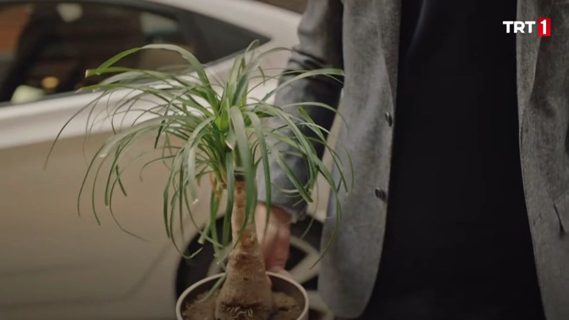 TRT 1 Masumlar Apartmanı'na transfer olan Tansel Öngel bakın kim Naci rolünde - Resim: 3