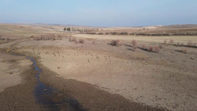 Çorum'da kuraklığın boyutunu gösteren ürkütücü görüntüler!  "8 aydır bir damla su düşmedi" - Resim: 1