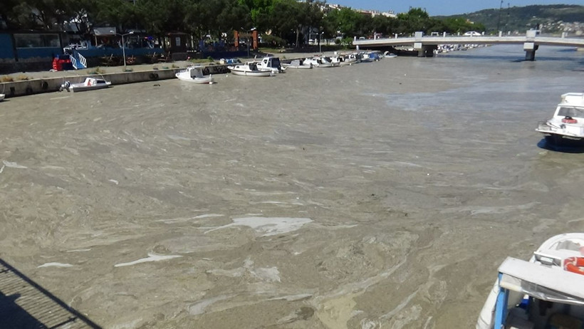 Çanakkale Boğazı'ndan sonra Sarıçay da müsilaj ile kaplandı - Resim: 1