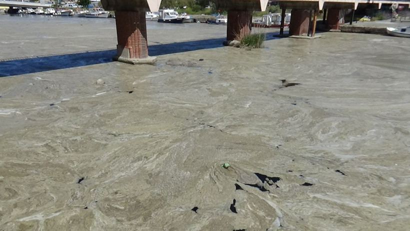 Çanakkale Boğazı'ndan sonra Sarıçay da müsilaj ile kaplandı - Resim: 2