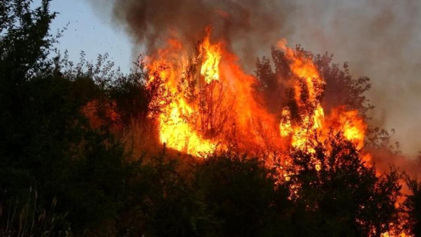 Isparta'da evi küle döndü! 'Çok ağladım' deyip anlattı: Bağırdım sağ mı diye - Resim: 1
