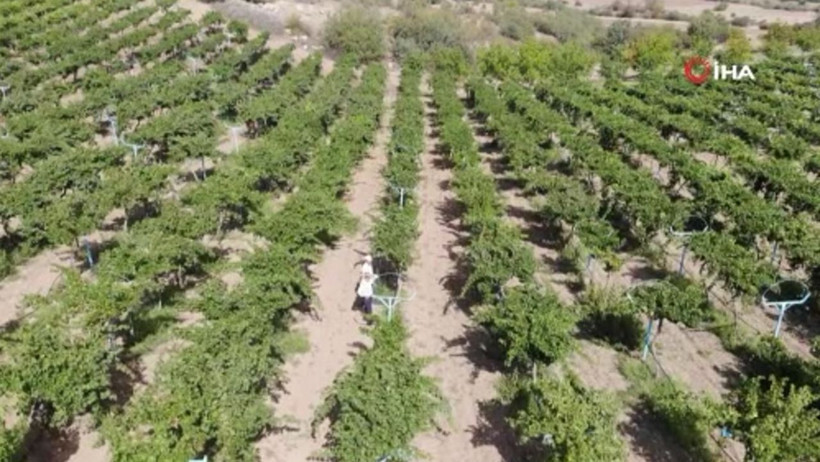 Tokat'ta kravattan sıkılıp bu işe başladı! Bölgede tek oldu: Sipariş yağıyor - Resim: 4