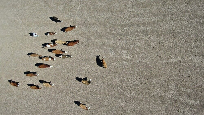 Elazığ'da gören gözlerine inanamadı barajın son hali içler acısı! Tehlike çanları çalıyor - Resim: 3