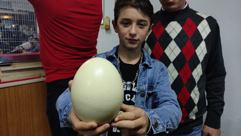 Bursa'da açık arttırmaya çıkarıldı! Kıyası mücadele verdiler: İlk defa gören şaştı kaldı - Resim: 1